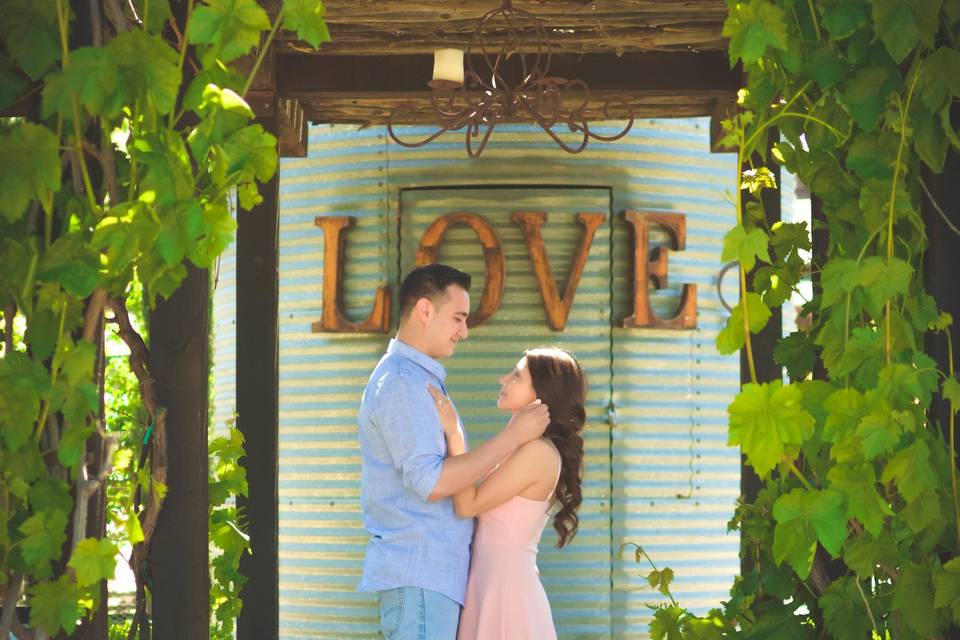 Season of Love Photography