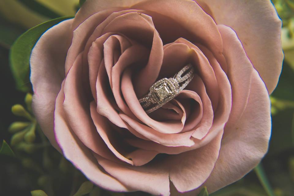 Season of Love Photography