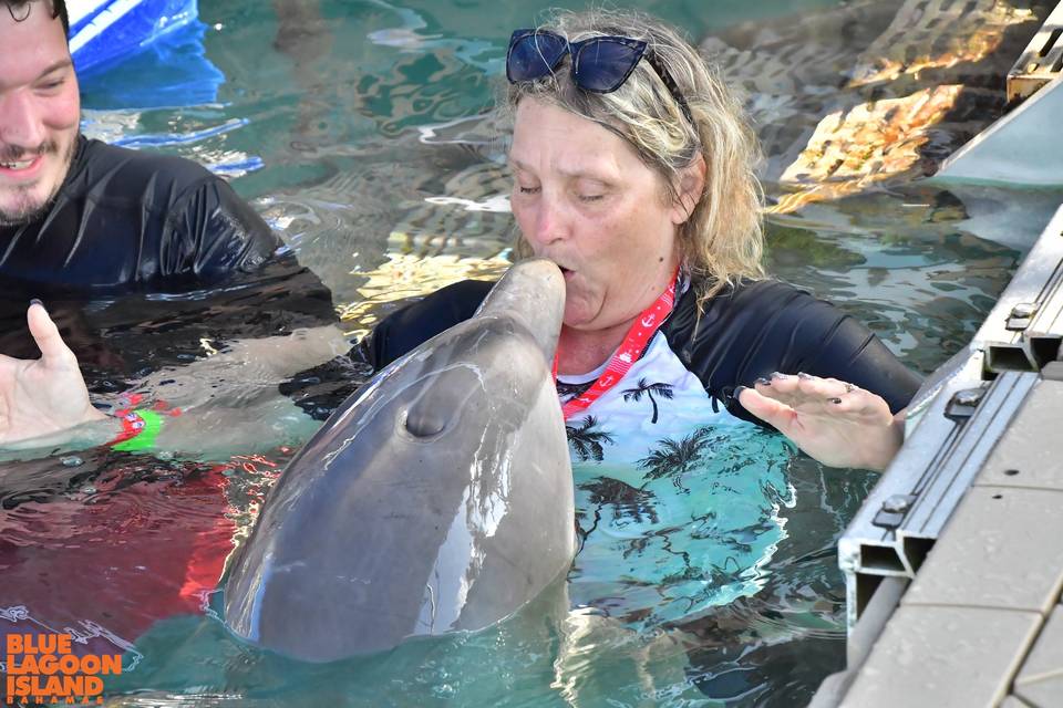 Swimming with the dolphins