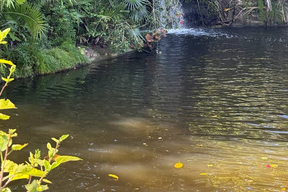 Jamaica