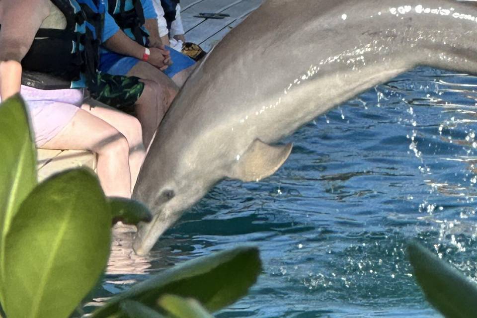 Bahamas