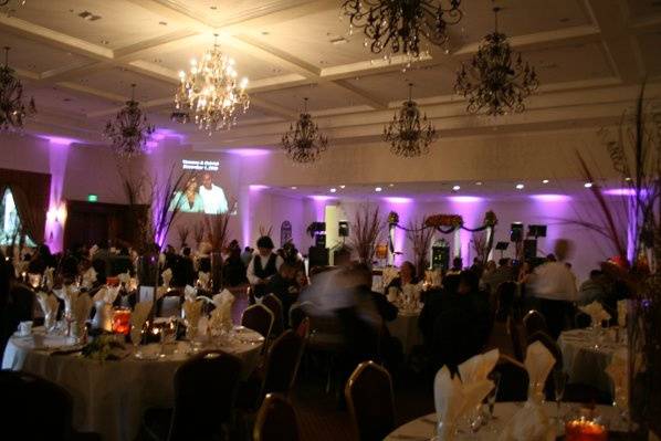Purple Uplighting
