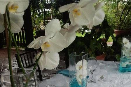 Puerto Rico Wedding Flowers