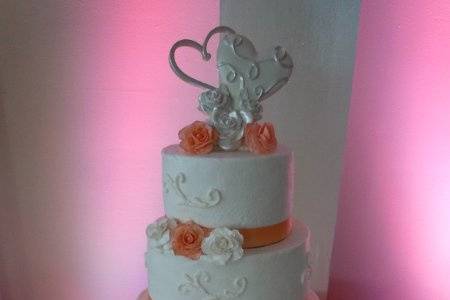 Robyn and Josh Wedding Cake 9/3/11.
