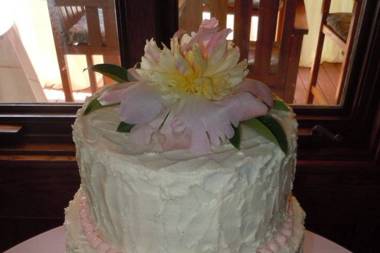 Maria Plott's Wedding Cake - 6/2/12Regency at Dominion Valley, Haymarket, VA