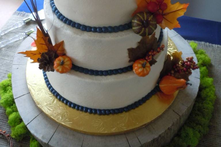 Melanie's Wedding Cake at Briar Patch Bed & Breakfast, 11/16/13