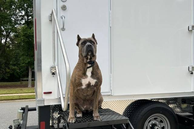 Cleo- Southern Squat Mascot