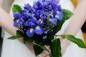 This bouquet shows all iris.