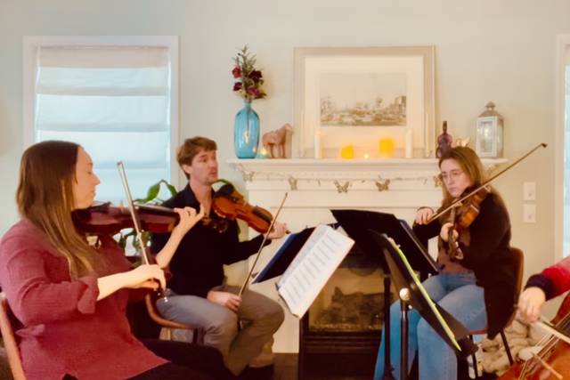 Bluebird Strings Quartet
