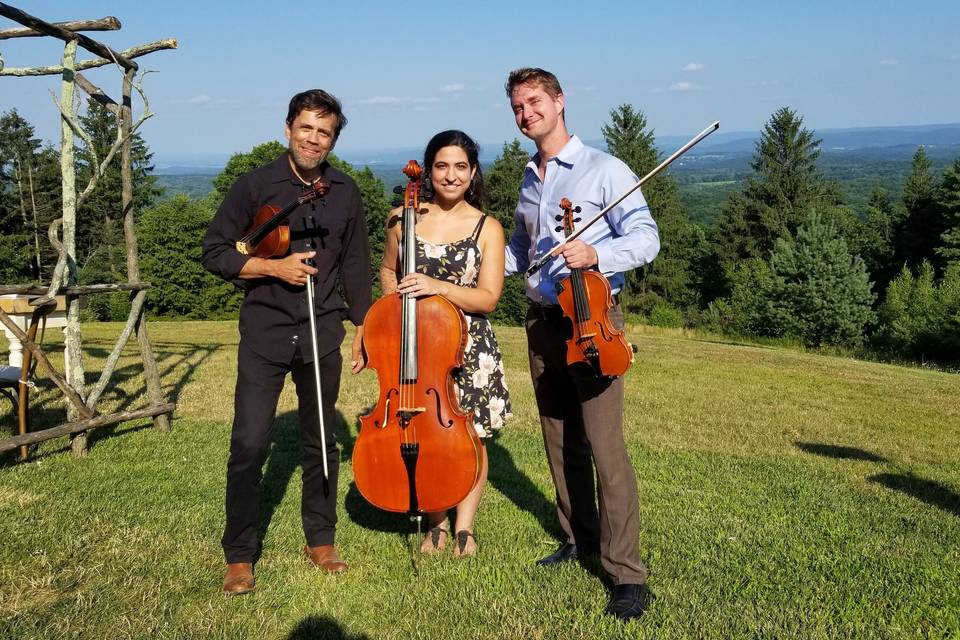 Bluebird Strings Trio