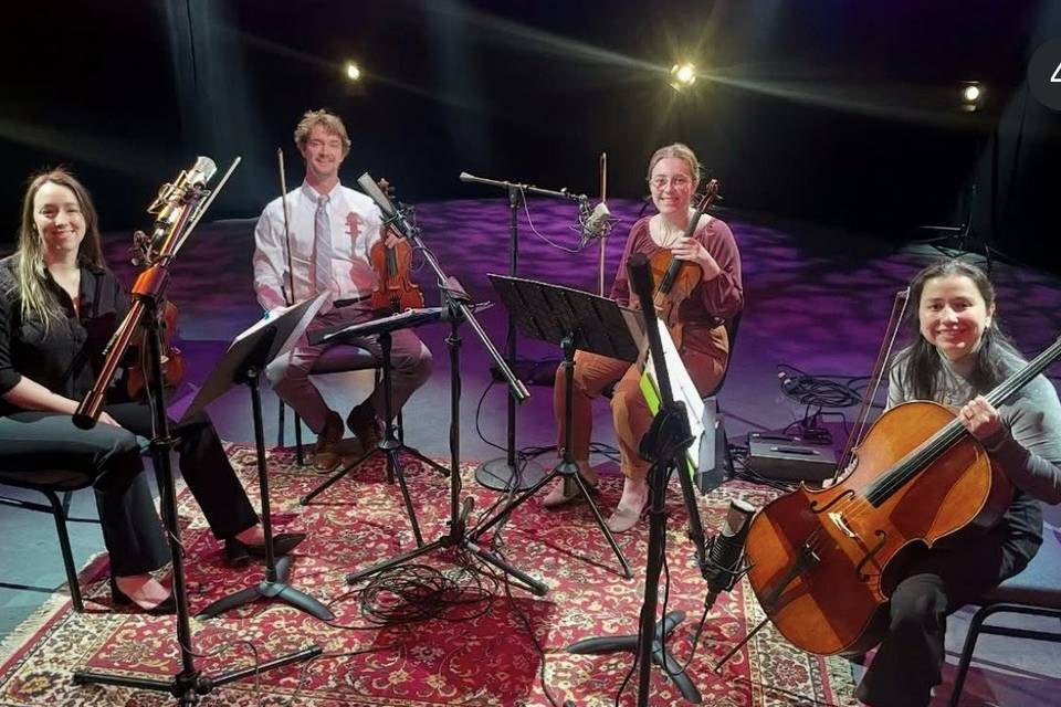 Bluebird Strings Quartet