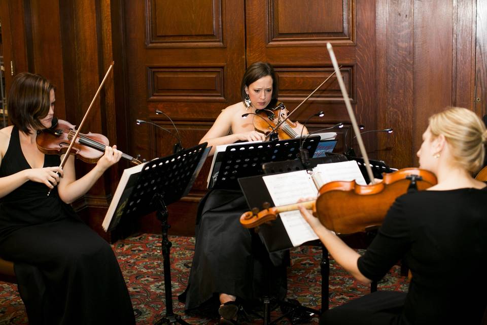 Shrewsbury String Quartet