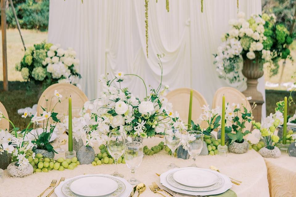 Perry Vaile Photography