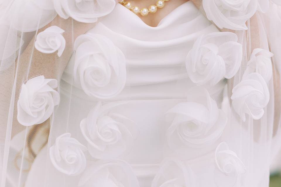 Perry Vaile Photography