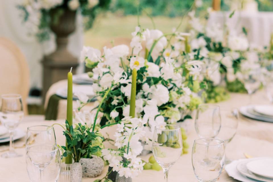 Perry Vaile Photography