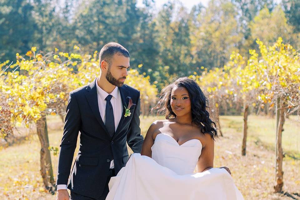 Perry Vaile Photography