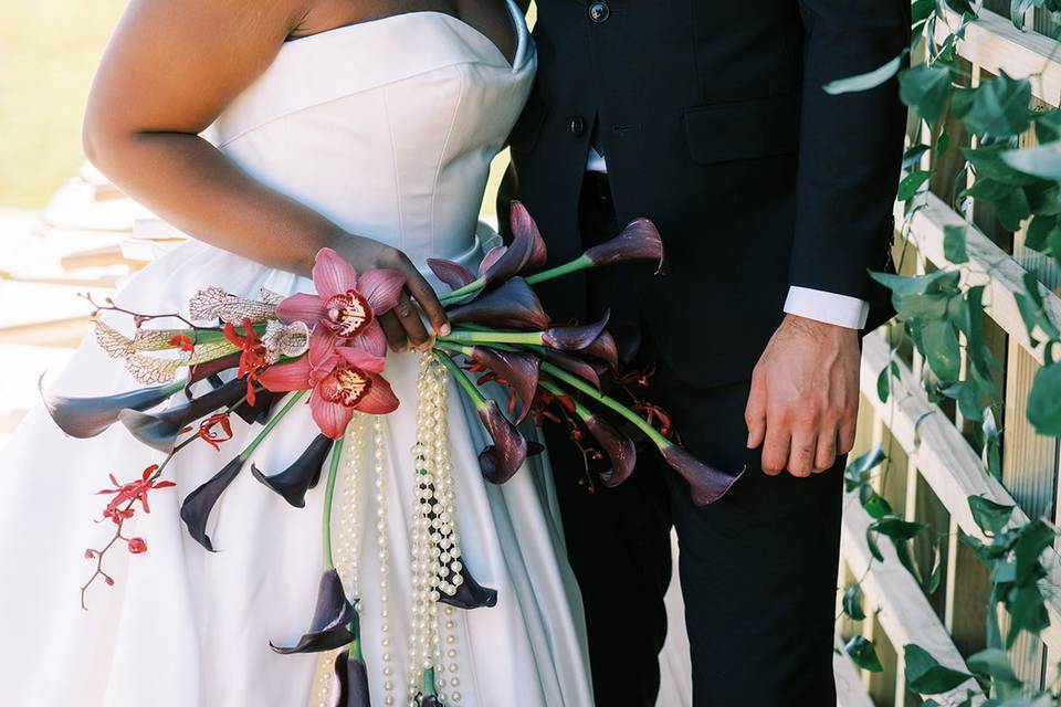 Perry Vaile Photography