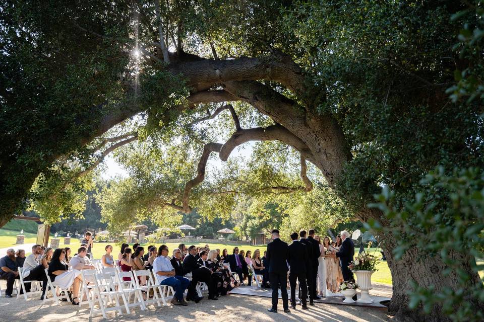 Side view of ceremony