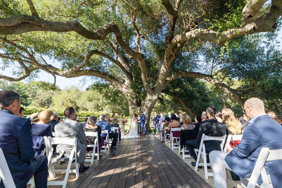 Ceremony under our Oak Tree