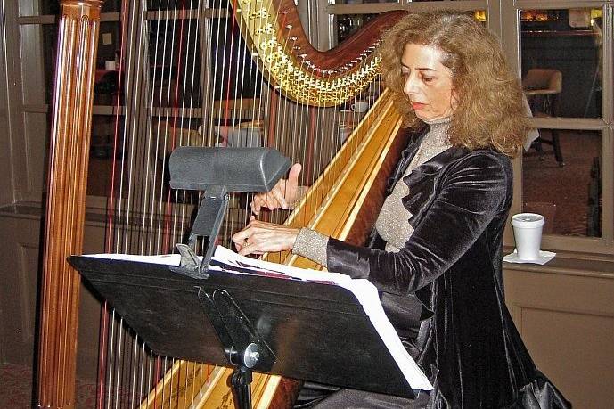 Electric Harp