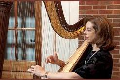 The harpist