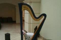 The harpist