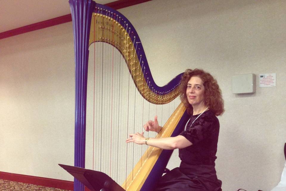 The harpist