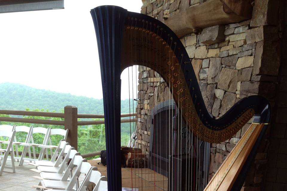 Playing the harp