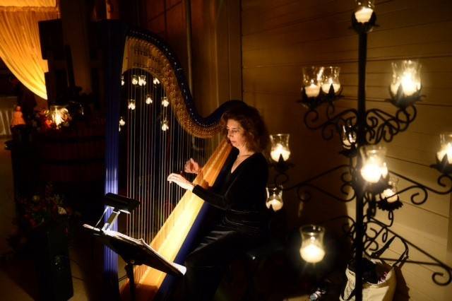 Acoustic Harp on set