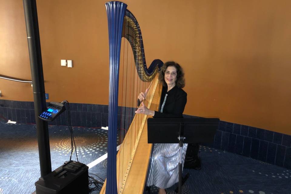 Trio with Harp,Violin & Cello