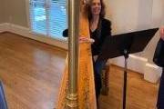 Gold Acoustic Harp