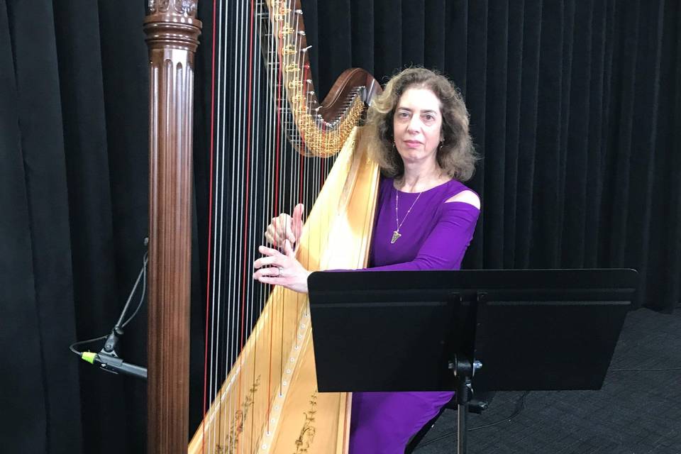 Acoustic Harp on set