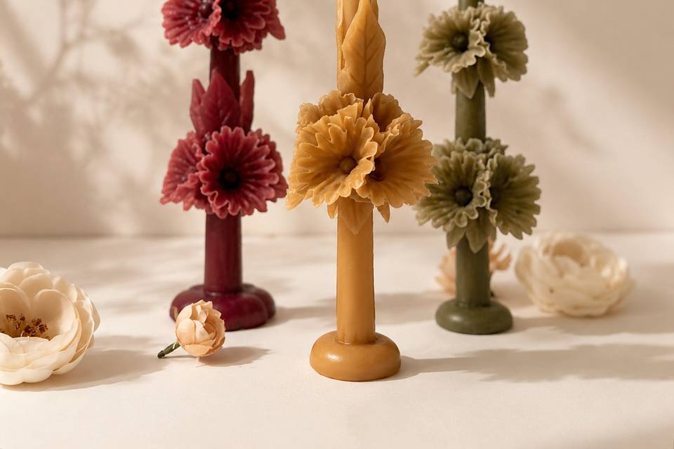 Autumn Margaritas (Daisies)