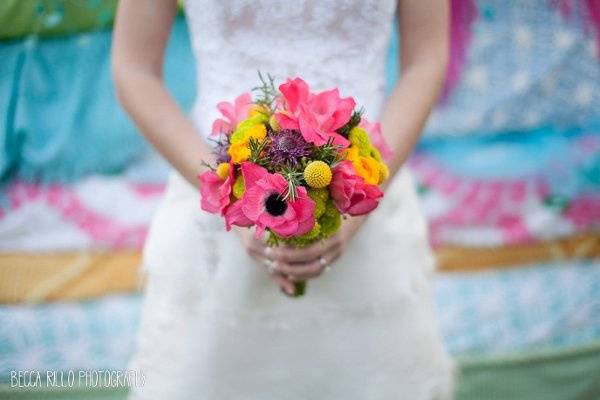 Primary Petals