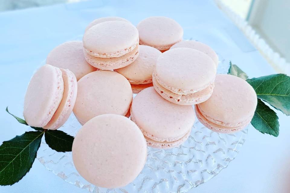 Pink Macaron