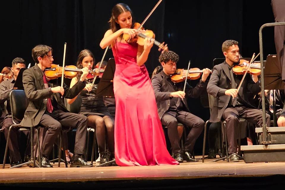 Del Canto Strings