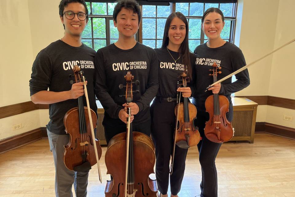 Del Canto Strings