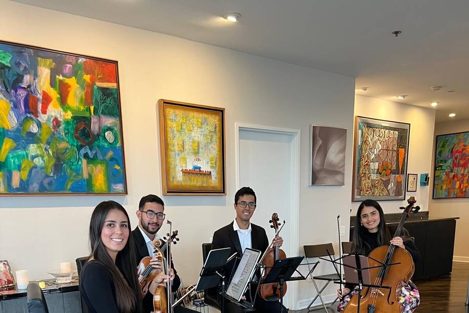 Del Canto Strings