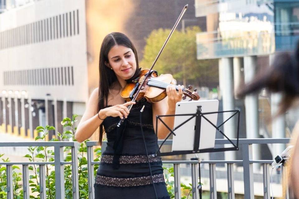 Del Canto Strings