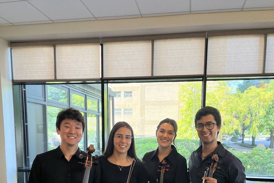 Del Canto Strings