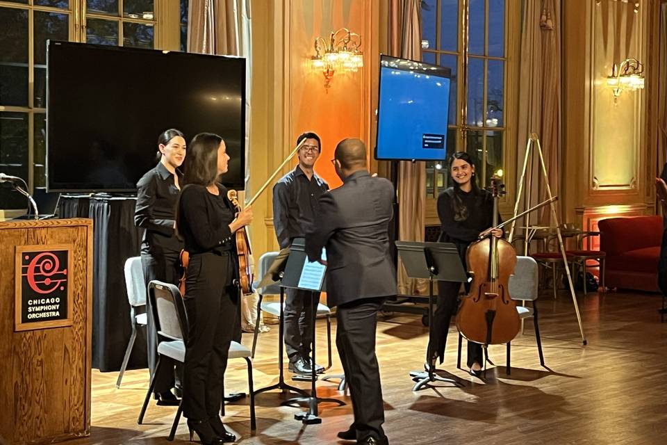 Del Canto Strings