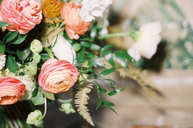 Sarah Nichole Photography
