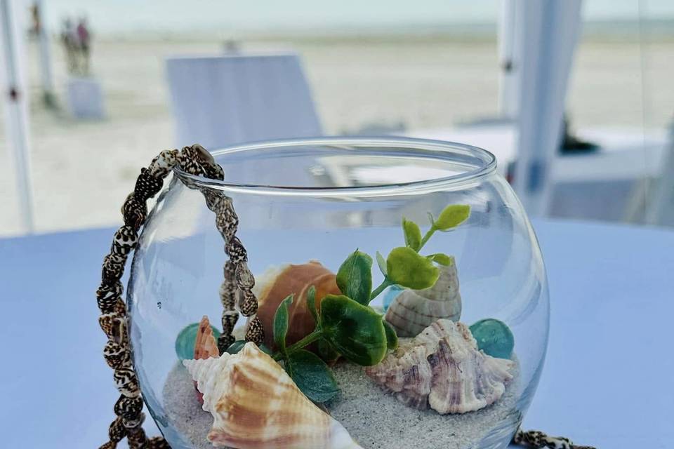 Beach Wedding