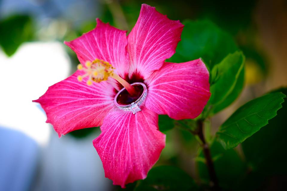 JCWoodphotography