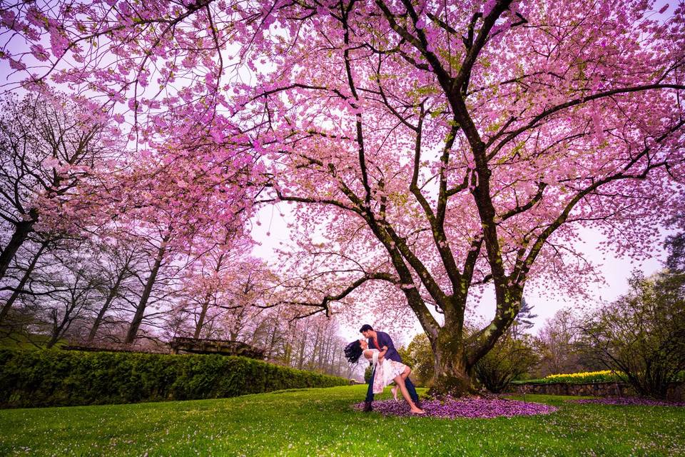 JCWoodphotography