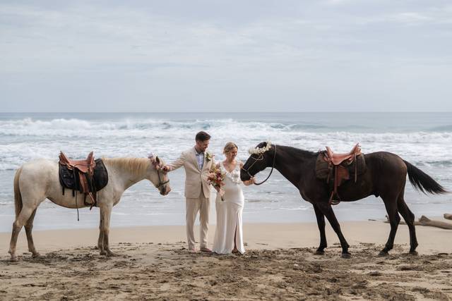 Elope with horses