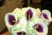 Lucian's Florist & Greenhouse
