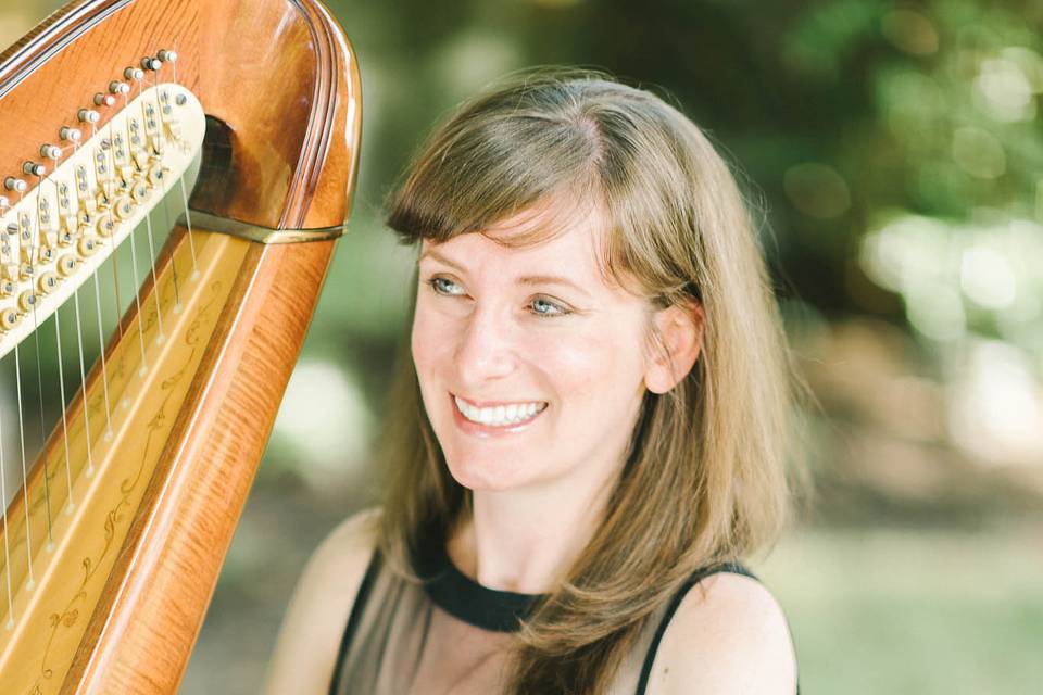 Diana Marie Gibbs, Harpist