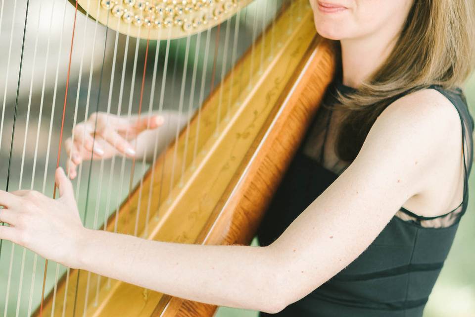 Diana Marie Gibbs, Harpist
