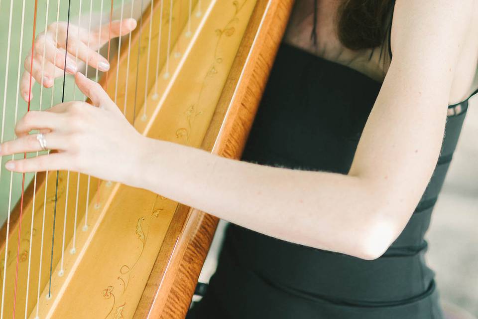 Diana Marie Gibbs, Harpist